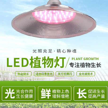 LED植物生長燈